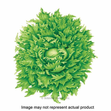 Botanical Interests Vegetable Seed
