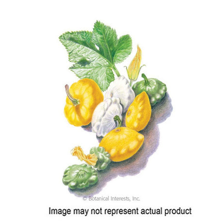 Botanical Interests Vegetable Seed