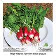Botanical Interests Vegetable Seed