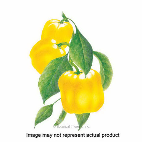 Botanical Interests Vegetable Seed