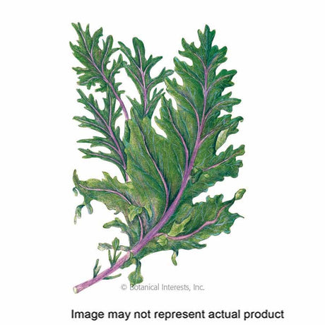 Botanical Interests Vegetable Seed