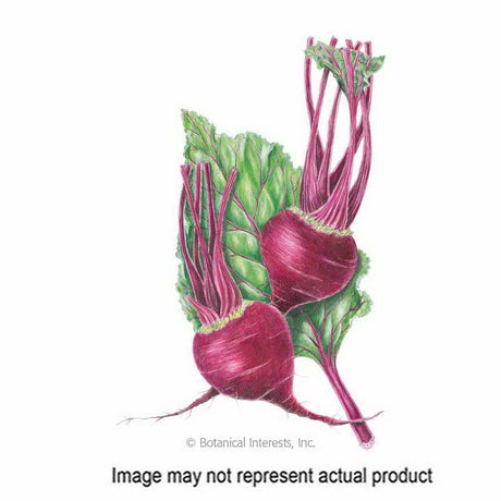 Botanical Interests Vegetable Seed