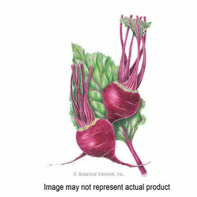 Botanical Interests Vegetable Seed