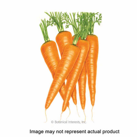 Botanical Interests Vegetable Seed