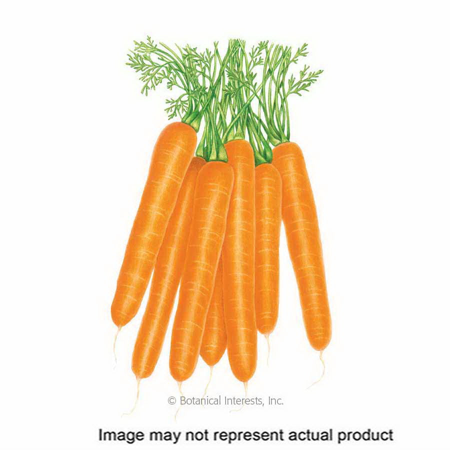 Botanical Interests Vegetable Seed