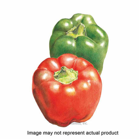 Botanical Interests Vegetable Seed