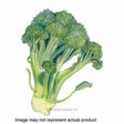 Botanical Interests Vegetable Seed