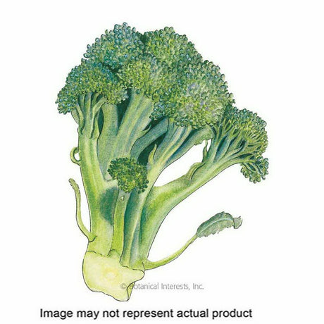 Botanical Interests Vegetable Seed