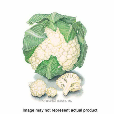 Botanical Interests Vegetable Seed