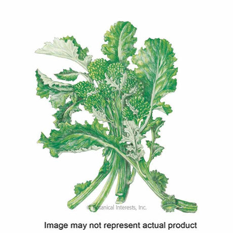 Botanical Interests Vegetable Seed