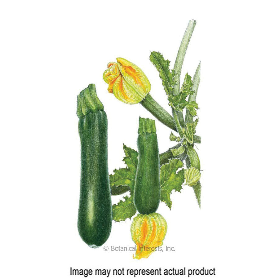 Botanical Interests Vegetable Seed