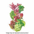 Botanical Interests Vegetable Seed