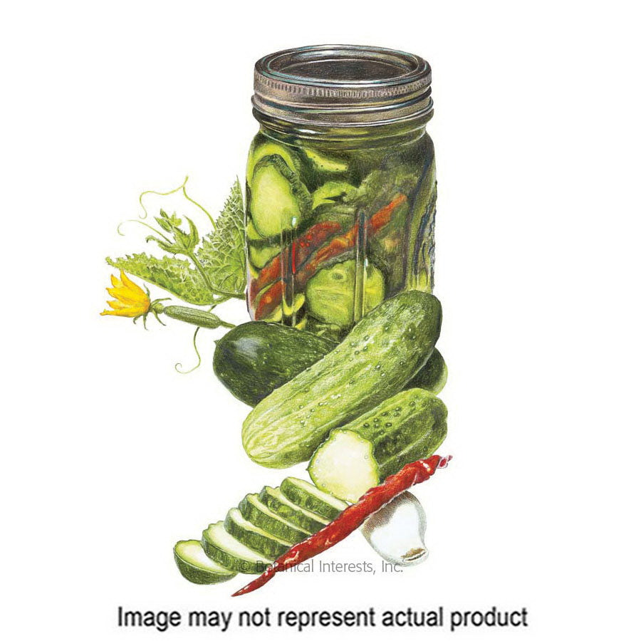 Botanical Interests Vegetable Seed