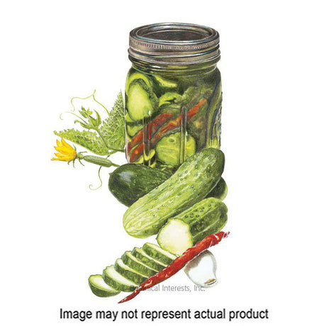 Botanical Interests Vegetable Seed