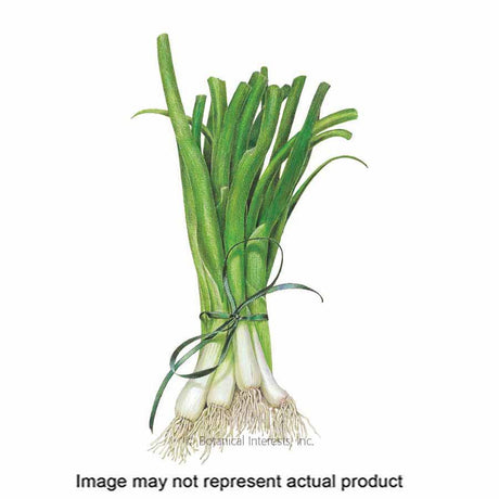 Botanical Interests Vegetable Seed