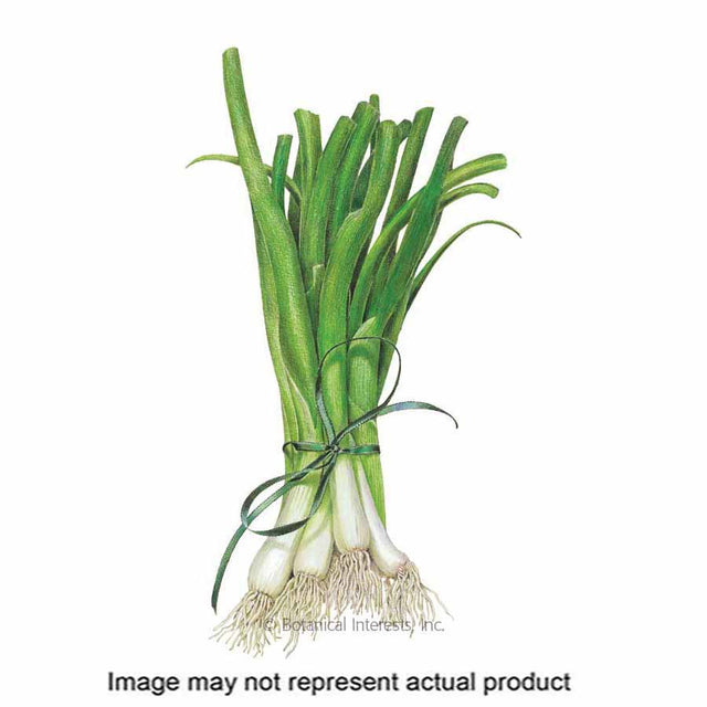 Botanical Interests Vegetable Seed