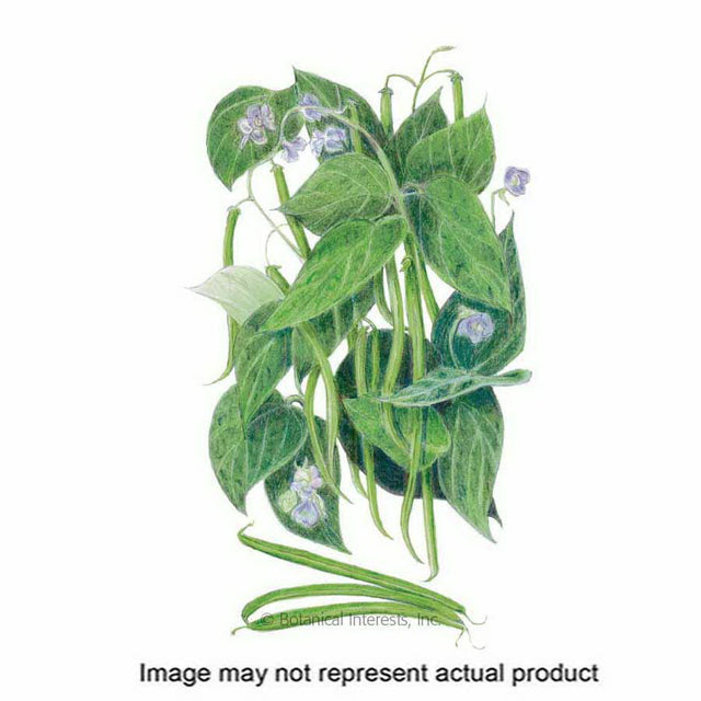 Botanical Interests Vegetable Seed