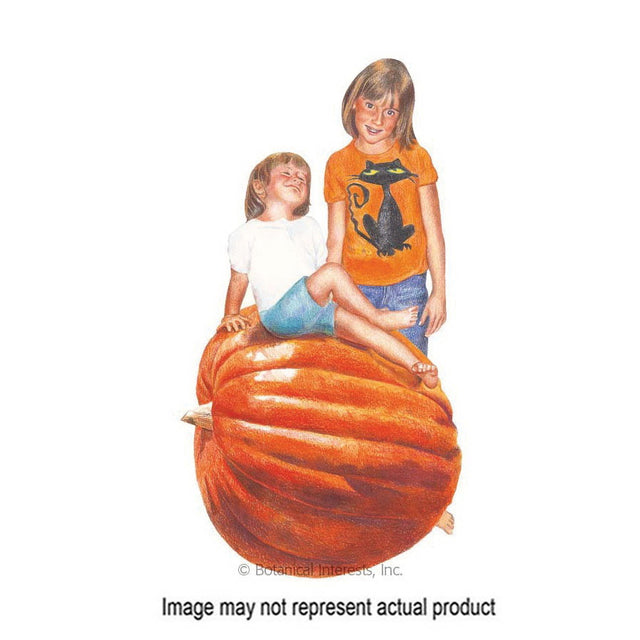 Botanical Interests Vegetable Seed