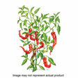 Botanical Interests Vegetable Seed