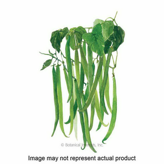 Botanical Interests Vegetable Seed