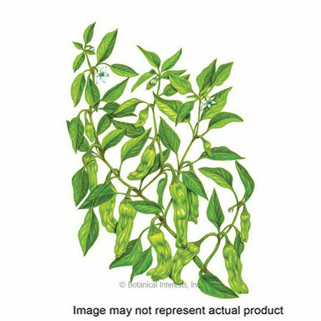 Botanical Interests Vegetable Seed