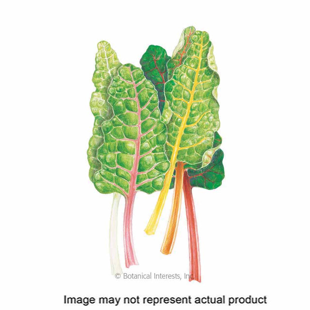 Botanical Interests Vegetable Seed