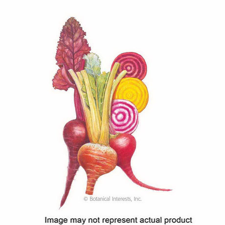 Botanical Interests Vegetable Seed