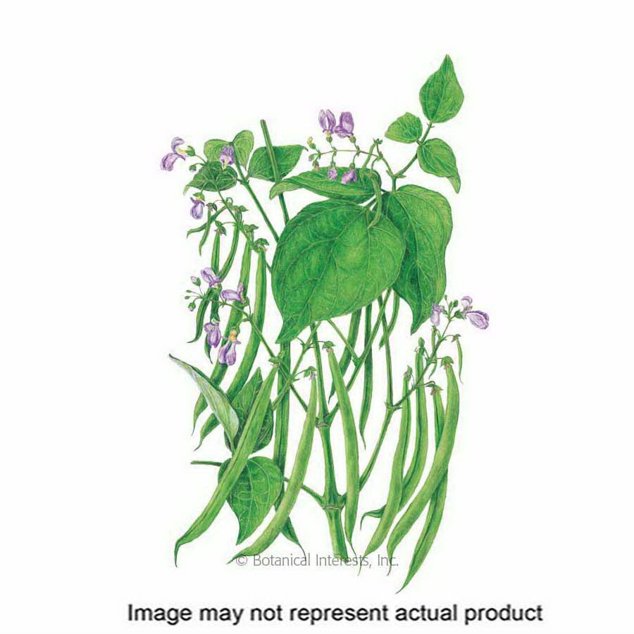 Botanical Interests Vegetable Seed