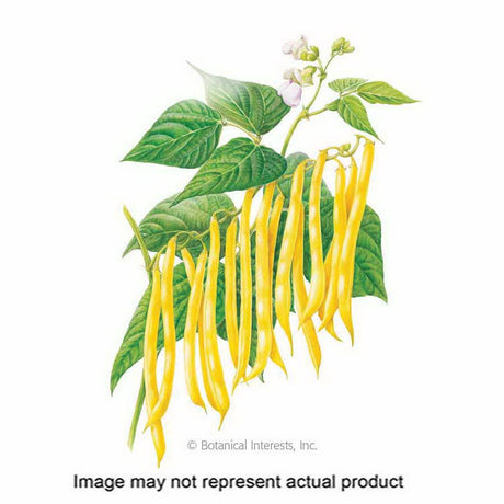 Botanical Interests Vegetable Seed