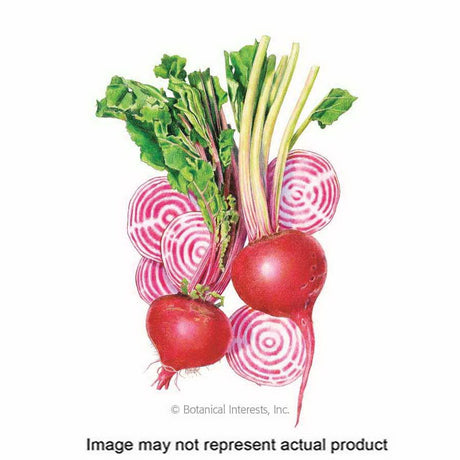 Botanical Interests Vegetable Seed