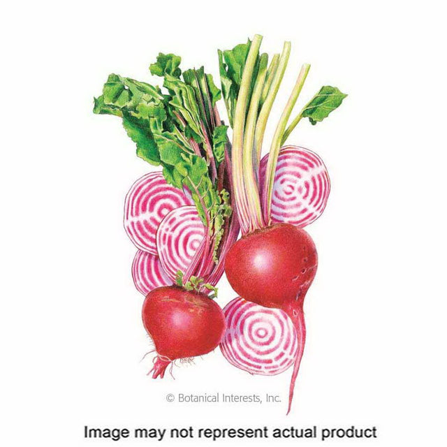 Botanical Interests Vegetable Seed