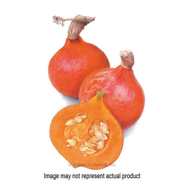 Botanical Interests Vegetable Seed