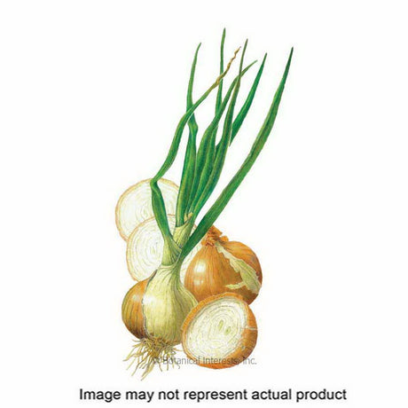 Botanical Interests Vegetable Seed