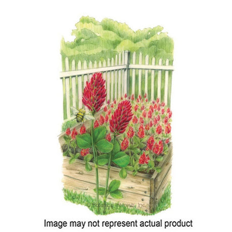 Botanical Interests Vegetable Seed