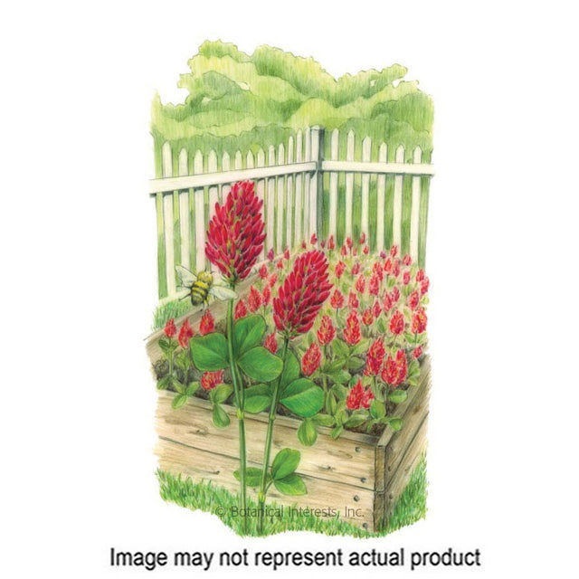 Botanical Interests Vegetable Seed