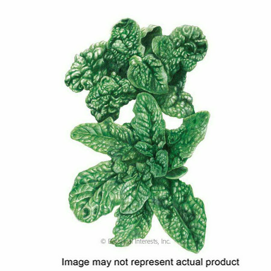 Botanical Interests Vegetable Seed