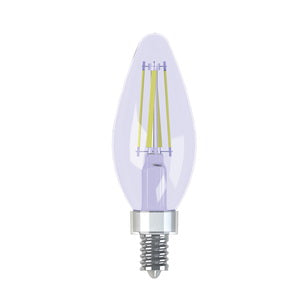 GE LED Bulb