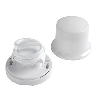 Pass & Seymour Lamp Holder