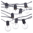globe String Light Set