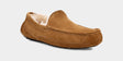 Ugg Men's Ascot Slipper Chestnut