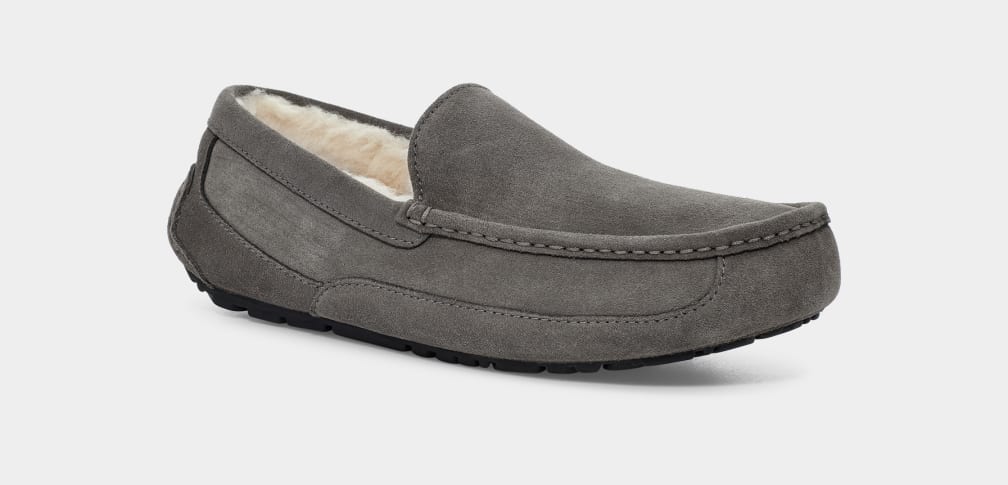 Ugg Men's Ascot Slipper Grey