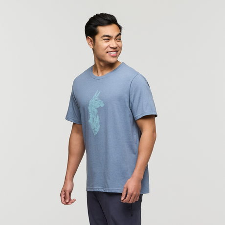 Cotopaxi Mens Into The Pines T-Shirt - Tempest Tempest