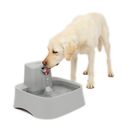 Petsafe current circulating pet fountain hotsell