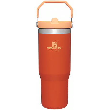 Stanley The Iceflow Flip Straw Tumbler 30oz Tigerlily