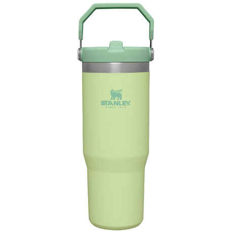 Stanley The Iceflow Flip Straw Tumbler 30oz Citron