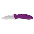 Kershaw Scallion Aluminum Knife - Stainless Steel/purple Ss/purple