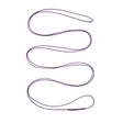 Black Diamond Equipm Dynex Runner 240cm 10mm Purple Purple
