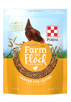 Purina Mills Farm to Flock Hen Treats Larvae for Ladies