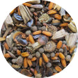 bbbseed Flower Seed Mix