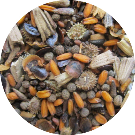 bbbseed Flower Seed Mix